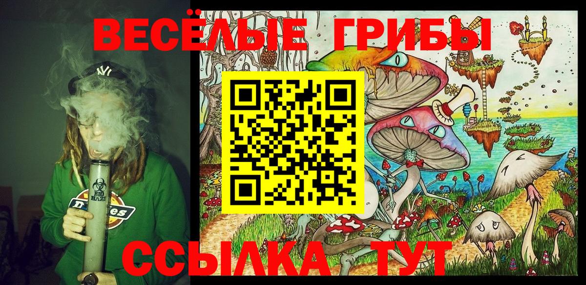 Галлюциногенные грибы Cubensis  Вход с VPN  Кизилюрт 